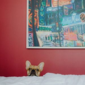 Meet your Posher, Lori